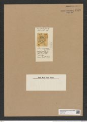 Auliscus propinguus Grove et Sturt. (de-Toni-Nr.: Genus 171, Species 4319) Zeichnungen Sammlung Grunow Nr. 7878 (NHMW-BOT-W0377142)